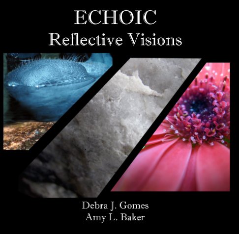 View Echoic: Reflective Visions by Debra J. Gomes & Amy L. Baker