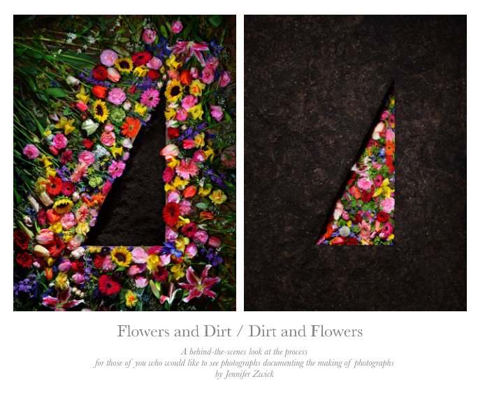 View Flowers and Dirt / Dirt and Flowers by Jennifer Zwick