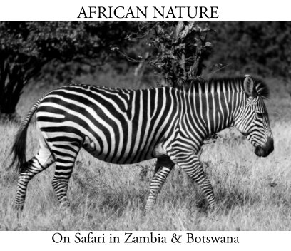 African Nature book cover