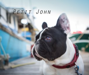 Petit John book cover