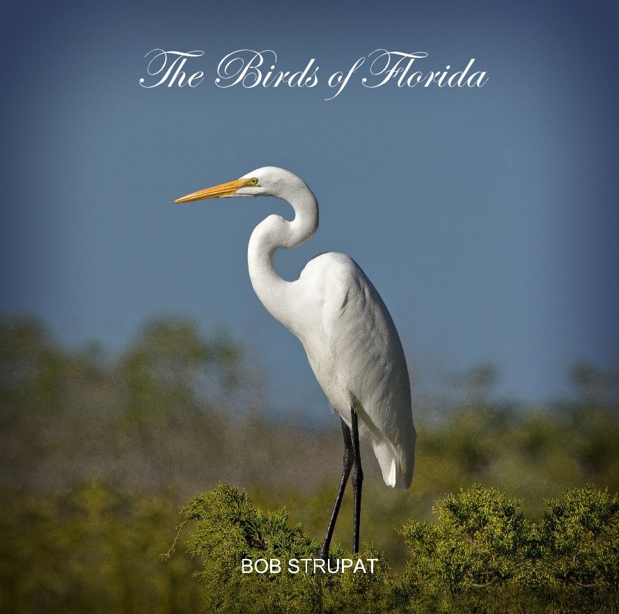 View The Birds of Florida by Bob Strupat