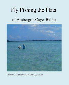 Fly Fishing the Flats book cover