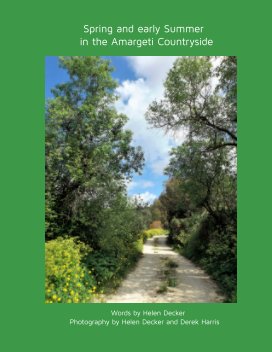 Spring in the Amargeti Countryside book cover