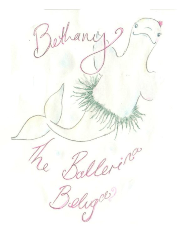 View Bethany the Ballerina Beluga by Audrey Aroha Tietz
