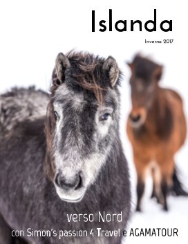 Islanda 2017 book cover