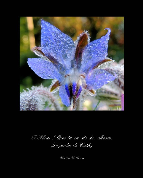 View Le jardin de Cathy by Catherine Coulon