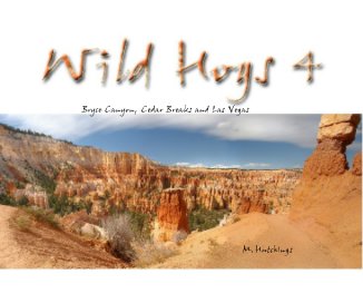 Wild Hogs 4 book cover