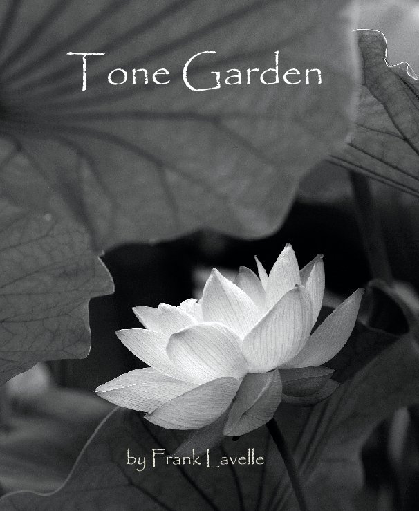 Bekijk Tone Garden op Frank Lavelle