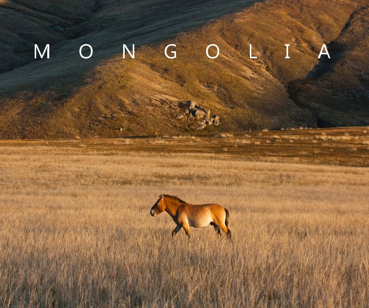 Ver Mongolia por Tony Ernst