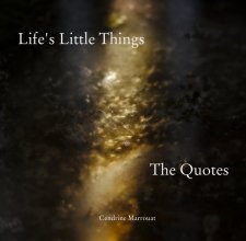 Life's Little Things book cover