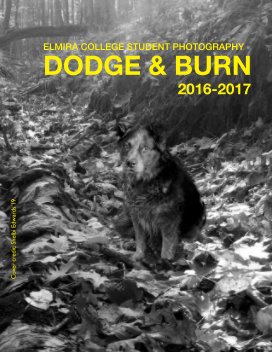 Dodge & Burn book cover