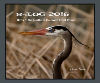 BirdLOG 2016 book cover