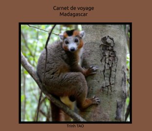 Carnet de voyage - Madagascar book cover