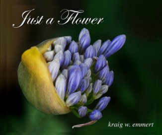 Just a Flower (small) book cover