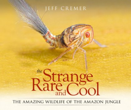 Strange, Rare And Cool book cover