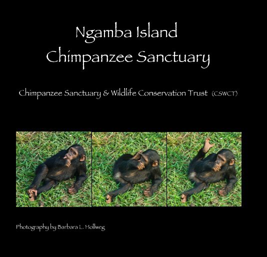 View Ngamba Island Chimpanzee Sanctuary by Photography by Barbara L. Hollweg