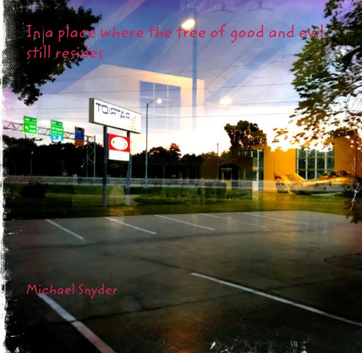 View In a place where the tree of good and evil still resides by Michael Snyder