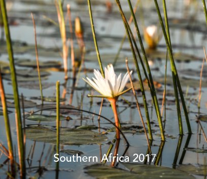 Suthern Africa 2017 book cover
