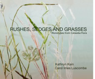 RUSHES, SEDGES AND GRASSES book cover