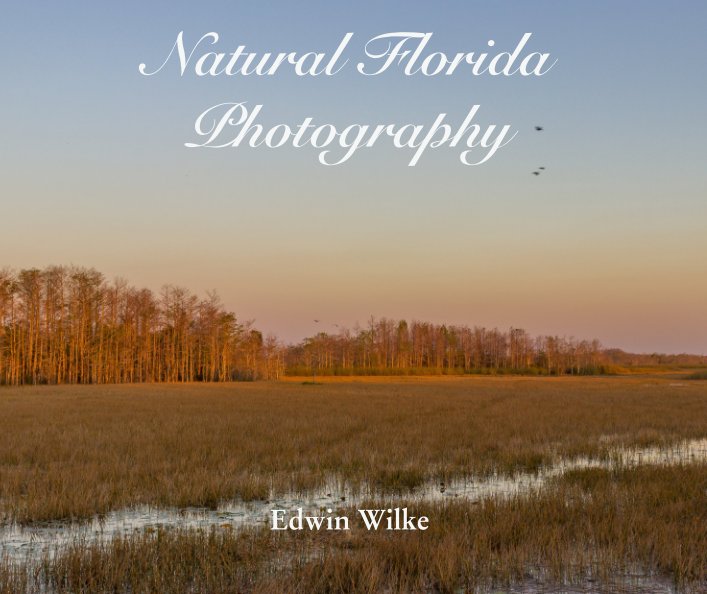 View Natural Florida  Photography by Edwin Wilke