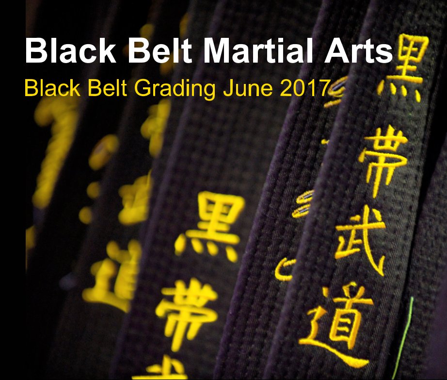 Visualizza Black Belt Martial Arts di Photography by James Carrett