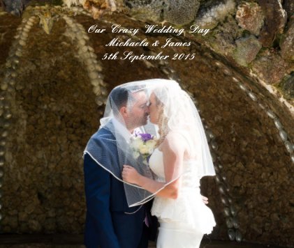 Our Crazy Wedding Day Michaela & James 5th September 2015 book cover