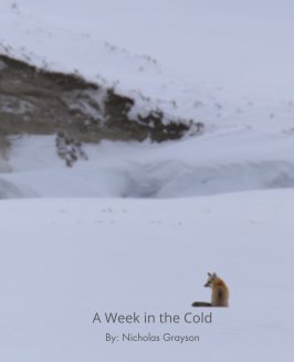 A Week in the Cold book cover