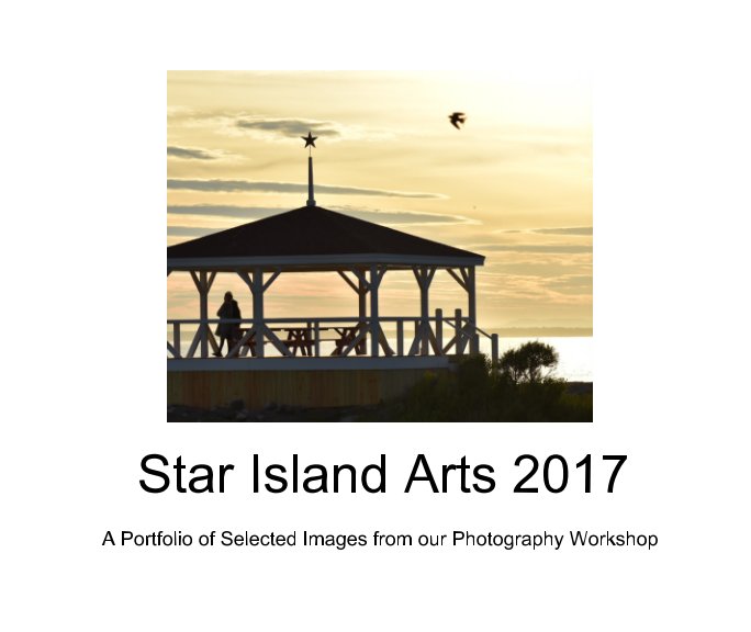 Visualizza Star Island Arts 2017 di John Snell