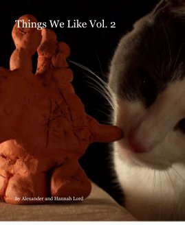 Things We Like Vol.2 book cover