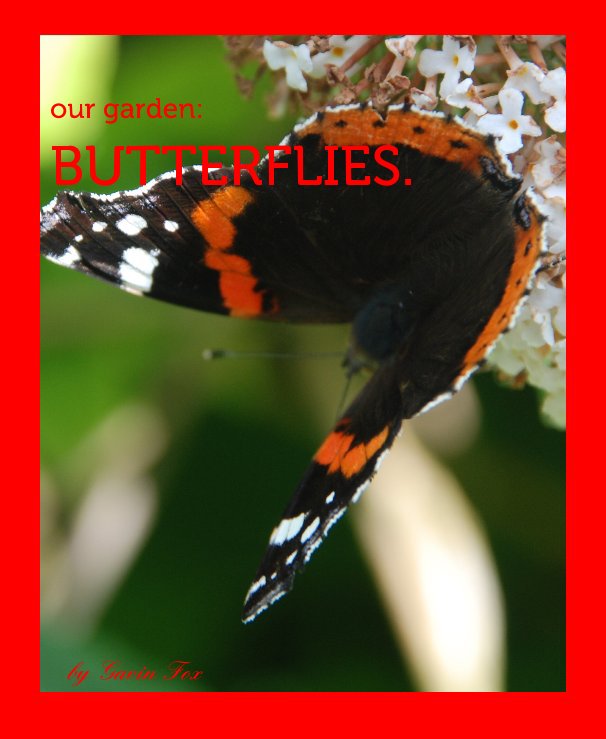 Ver our garden: BUTTERFLIES. por Gavin Fox