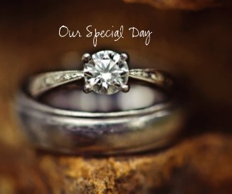 Our Special Day book cover