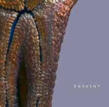 Batstar book cover