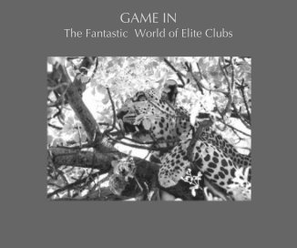 GAME IN book cover