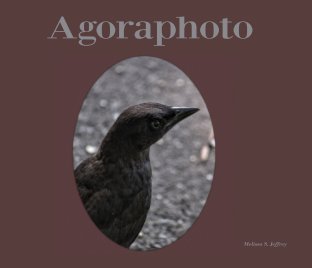 Agoraphoto book cover