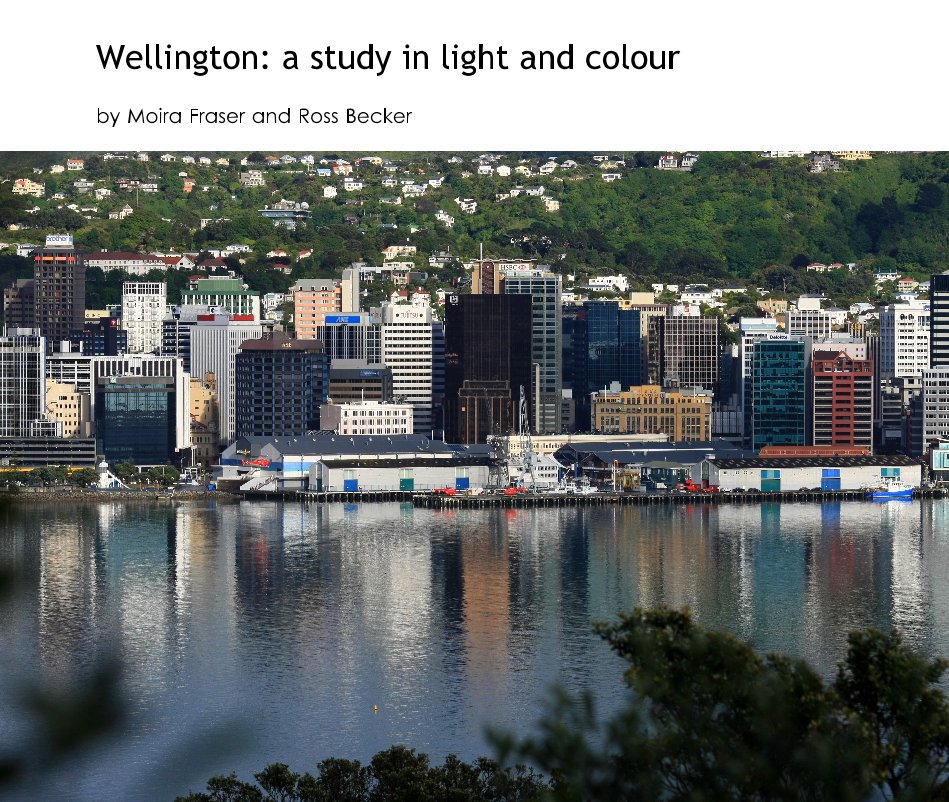 View Wellington: a study in light and colour by Moira Fraser and Ross Becker