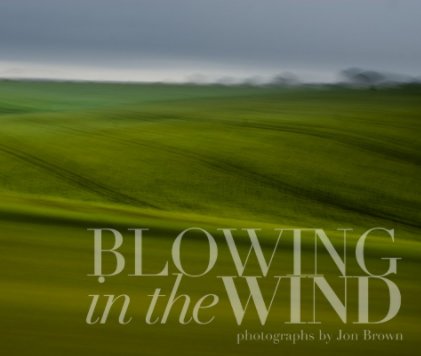 Blowing in the Wind book cover