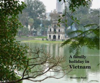 A family holiday in Vietnam book cover