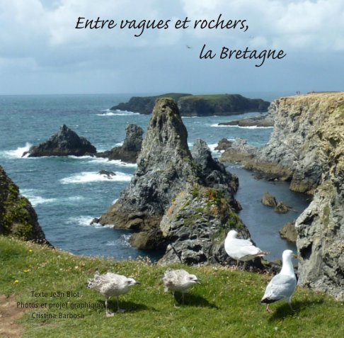 View Bretagne by Cristina Barbosa