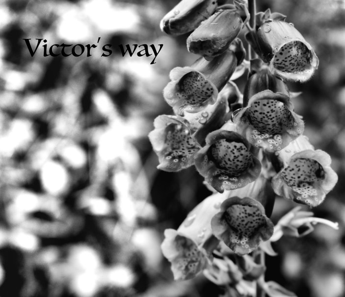 View Victor's Way by Sarah Navan