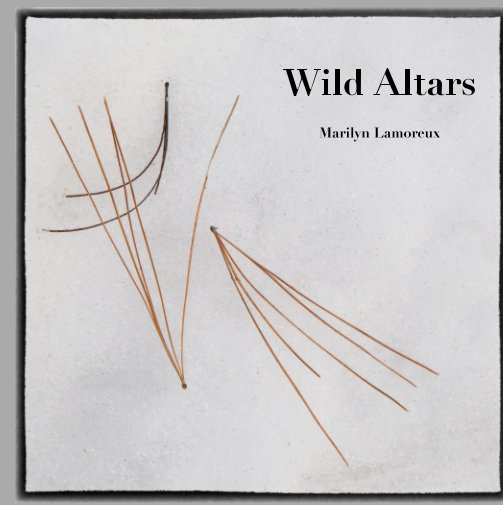 View Wild Altars by Marilyn Lamoreux