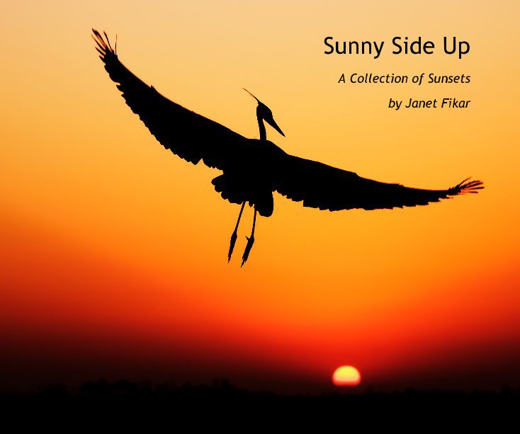 View Sunny Side Up by Janet Fikar