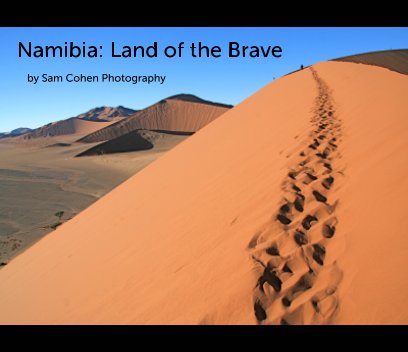 Namibia: Land of the Brave book cover