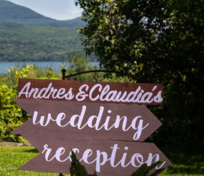 Andres and Claudia's Wedding book cover