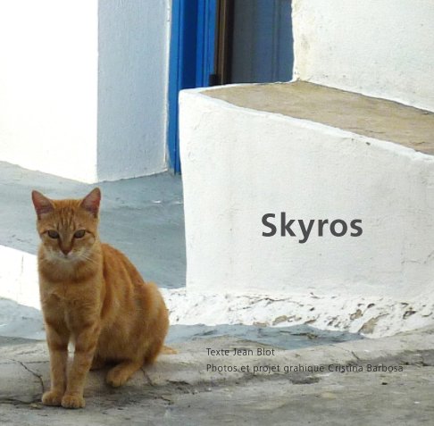 View Skyros by Cristina Barbosa