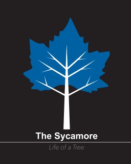 The Sycamore 2016-2017 (softcover) book cover