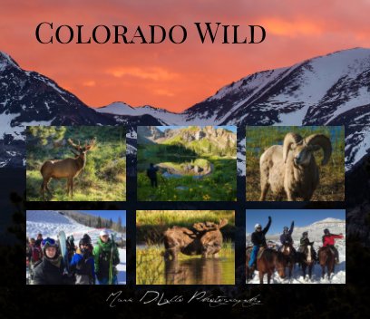 Colorado Wild book cover