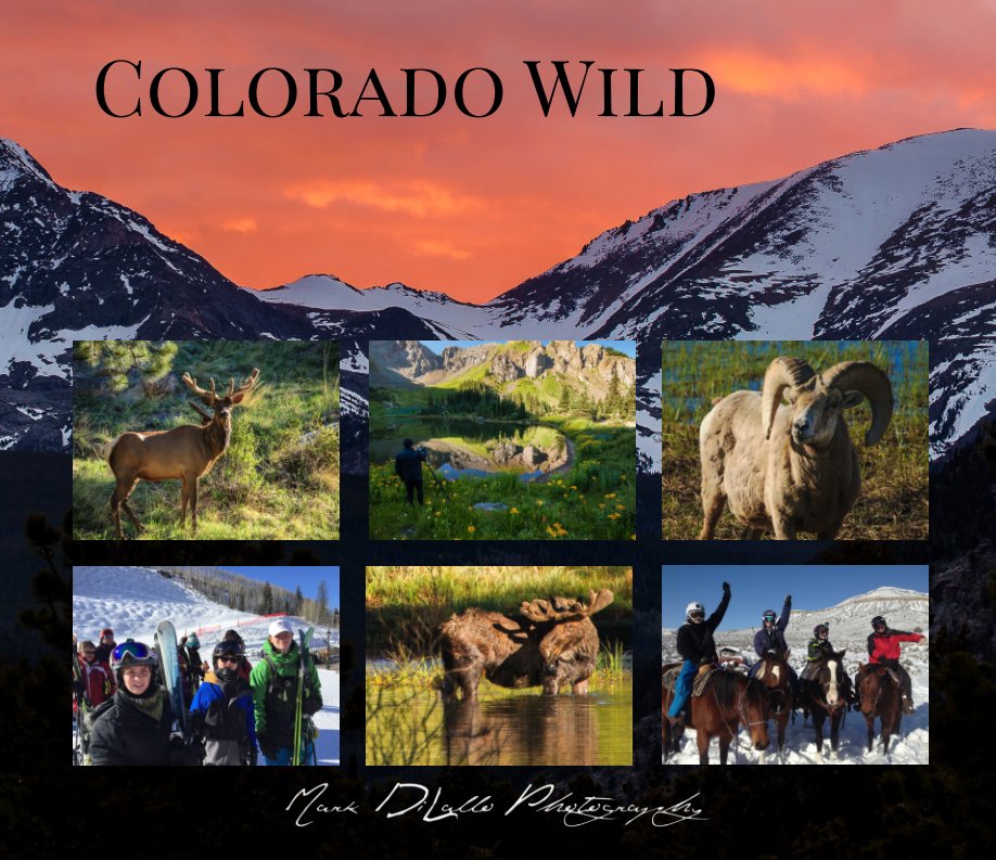 View Colorado Wild by Mark P. DiLallo