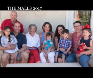 THE MALLS 2017 book cover