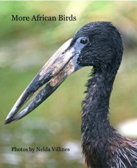More African Birds book cover