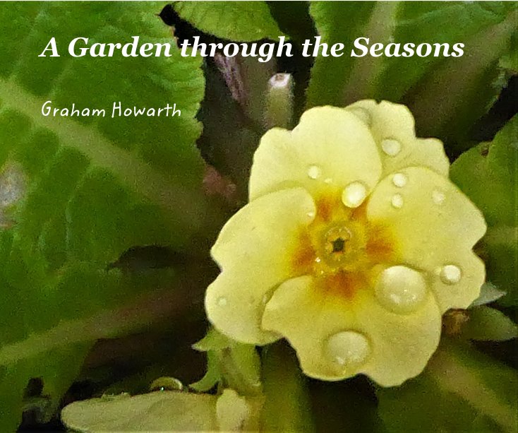 View A Garden through the Seasons by Graham Howarth